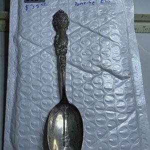 Elegant Silver Spoon